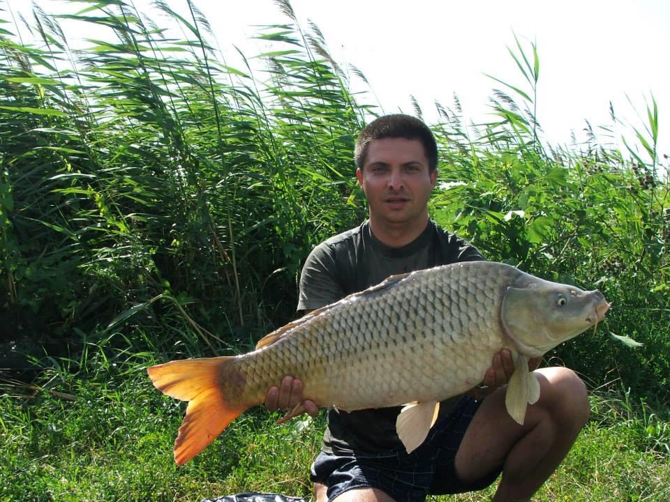 Lates 5-8 august 2013 ...cu prietenii - 11466436197746580897391671128543n.jpg